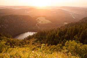 Ein wunderschöner Sonnenaufgang am Feldberg im Schwarzwald mit dem Feldsee.