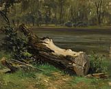 Carlos de Haes-Log Landschaft am Fluss, Antike Landschaft von finemasterpiece Miniaturansicht