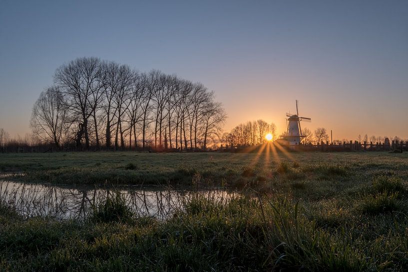 Mill The Butterfly in the morning by Moetwil en van Dijk - Fotografie