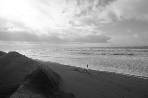 Eenzame strand wandelaar