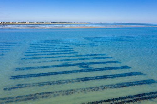 Oesterbanken in Île de Noirmoutier