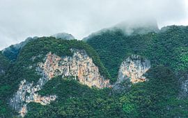 Khao Sok I by Ronne Vinkx