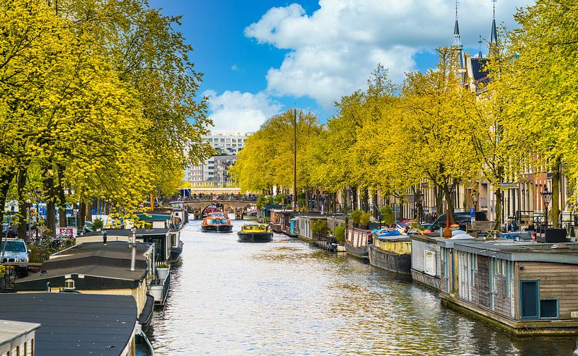 the Prinsengracht in Amsterdam by Ivo de Rooij