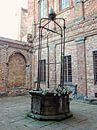 The Old Well Citta della Pieve by Dorothy Berry-Lound thumbnail