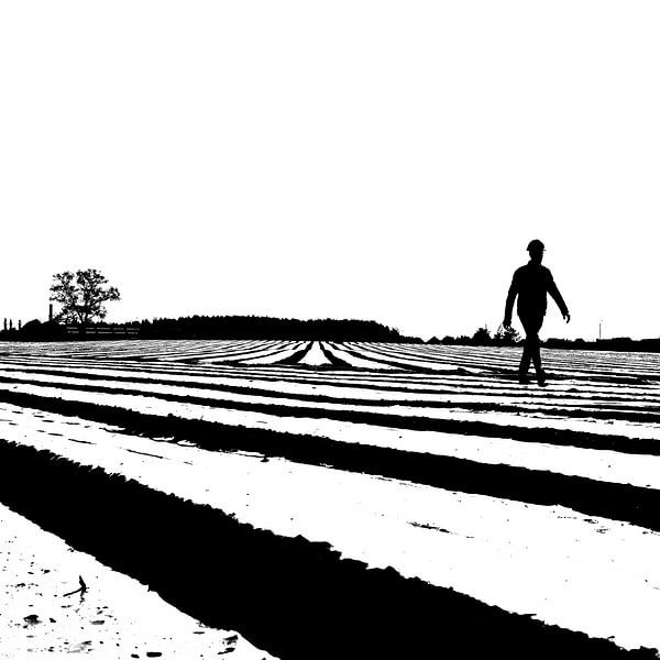 Lignes d'un agriculteur (en silhouette) sur ses champs par Lieven Tomme