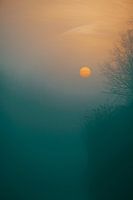 Sunrise in the fog