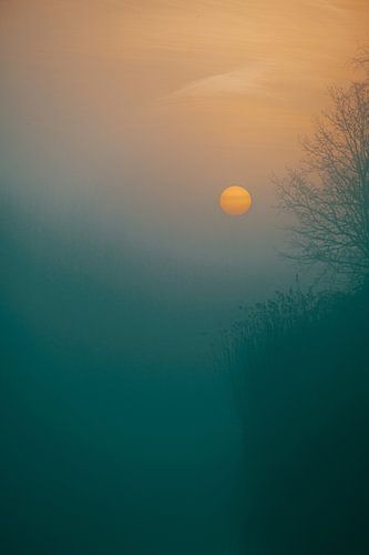 Zonsopkomst in de mist