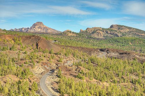 Tenerife Mirador de Samara