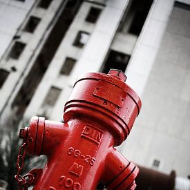 Roter Hydrant von Eric Sweijen