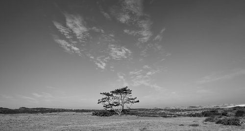 Alleine auf der Welt