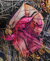 Leaf series 004