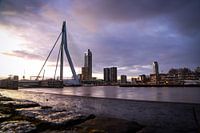The Erasmus Bridge