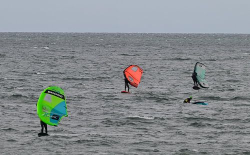 Couleur volante