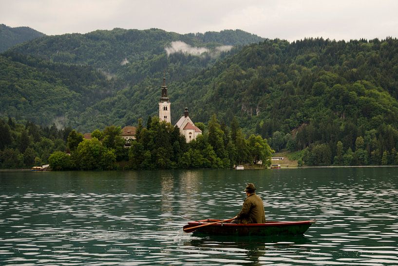 Roeier in Bled van Matthijs Dijk