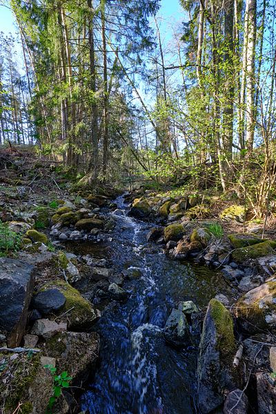 fließendes wasser in schweden von Geertjan Plooijer