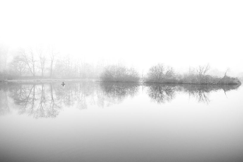 black and white by Bart Liesenborgs