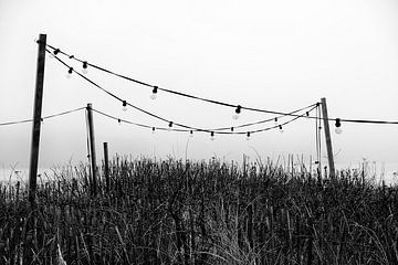 Am Meer