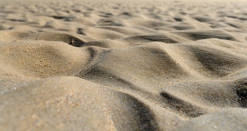 sandy beach closeup by Michel Knikker