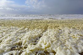 Foam on the beach of Egmond by Ronald Smits