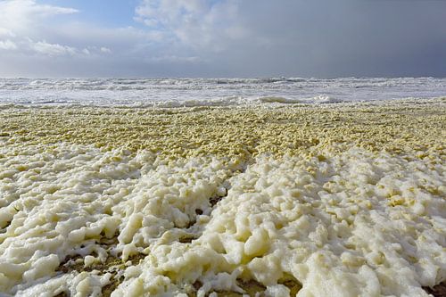 Schaum am Strand von Egmond