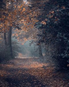 Romantischer Herbstwald