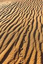 Sporen in het zand van Wouter van Woensel thumbnail