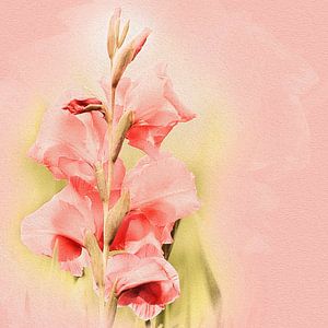 Gladiolus by Art by Jeronimo