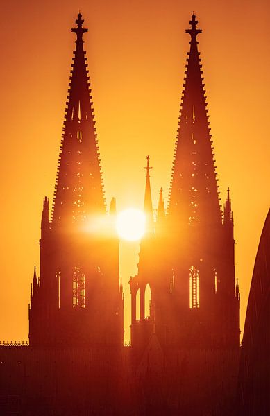 Kölner Dom von LICHTERKISTE