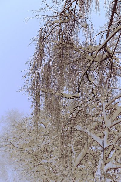 Mist in blauw van Daniel Dorst