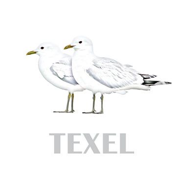 Texel by christine b-b müller
