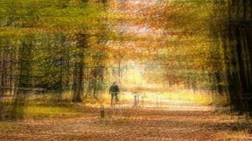 Herbst in den Wäldern von Chaam . von Peter Smeekens