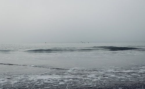 Mistige North zee
