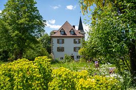 Entenstein Wasserschloss Baden-Württemberg von Photo Art Thomas Klee