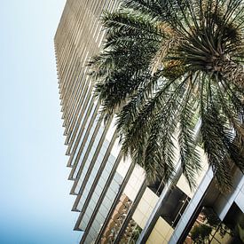 Palm Highrise von Klaas Leussink