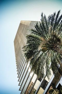 Palm Highrise van Klaas Leussink