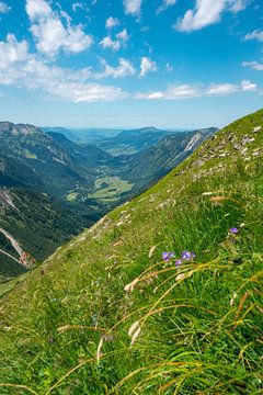 Blick aus dem Hintersteiner Tal auf das Oberallgäu von Leo Schindzielorz