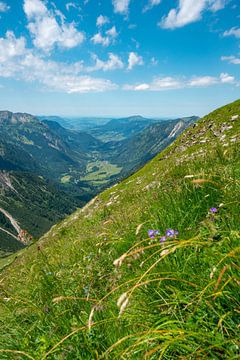 Uitzicht op de Oberallgäu vanuit het Hintersteiner dal van Leo Schindzielorz