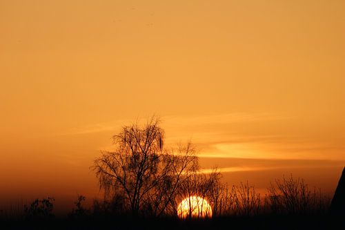Sonnenuntergang mit Bäumen