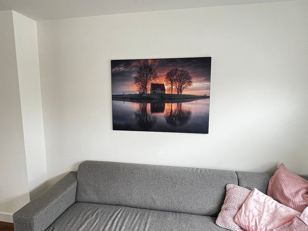 Between Trees  by Ruud Peters 