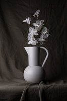 still life vase with white orchid.