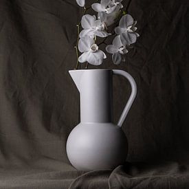 Stillleben vase mit weißer Orchidee. von Adelbrechtje Campfens