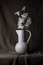 Stillleben vase mit weißer Orchidee. von Adelbrechtje Campfens Miniaturansicht