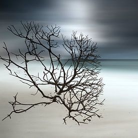 Beach on the Maldives in the Indian Ocean by Voss Fine Art Fotografie