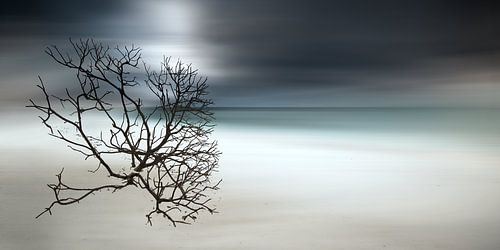Strand op de Malediven in de Indische Oceaan
