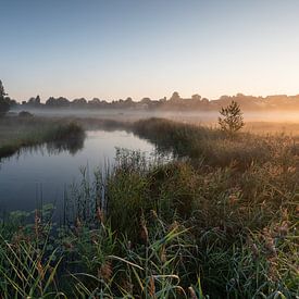 Nebelstimmung am Staffelsee von Anselm Ziegler Photography