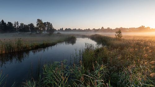 Foggy atmosphere at the Staffelsee