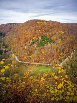 Herfst in de zuidelijke Harz met Netzkater van t.ART