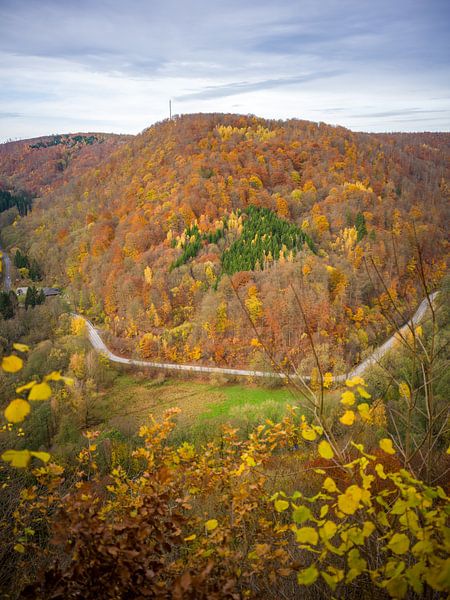 Herfst in de zuidelijke Harz met Netzkater van t.ART