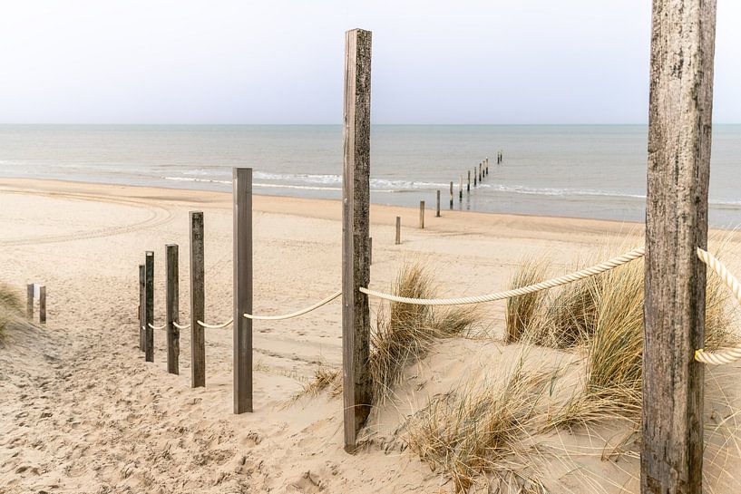 Réserve de plage Noordvoort par Yanuschka | Fotografie Noordwijk