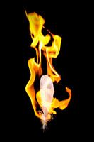 Fire and Flame #6
